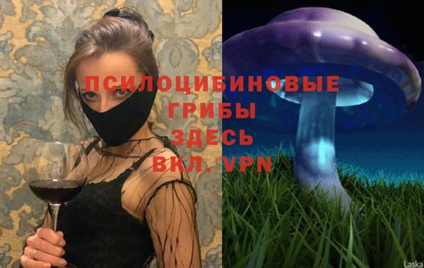 стаф Абаза