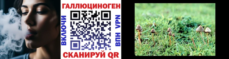 shop формула  Власиха  Галлюциногенные грибы MAGIC MUSHROOMS  blacksprut рабочий сайт 
